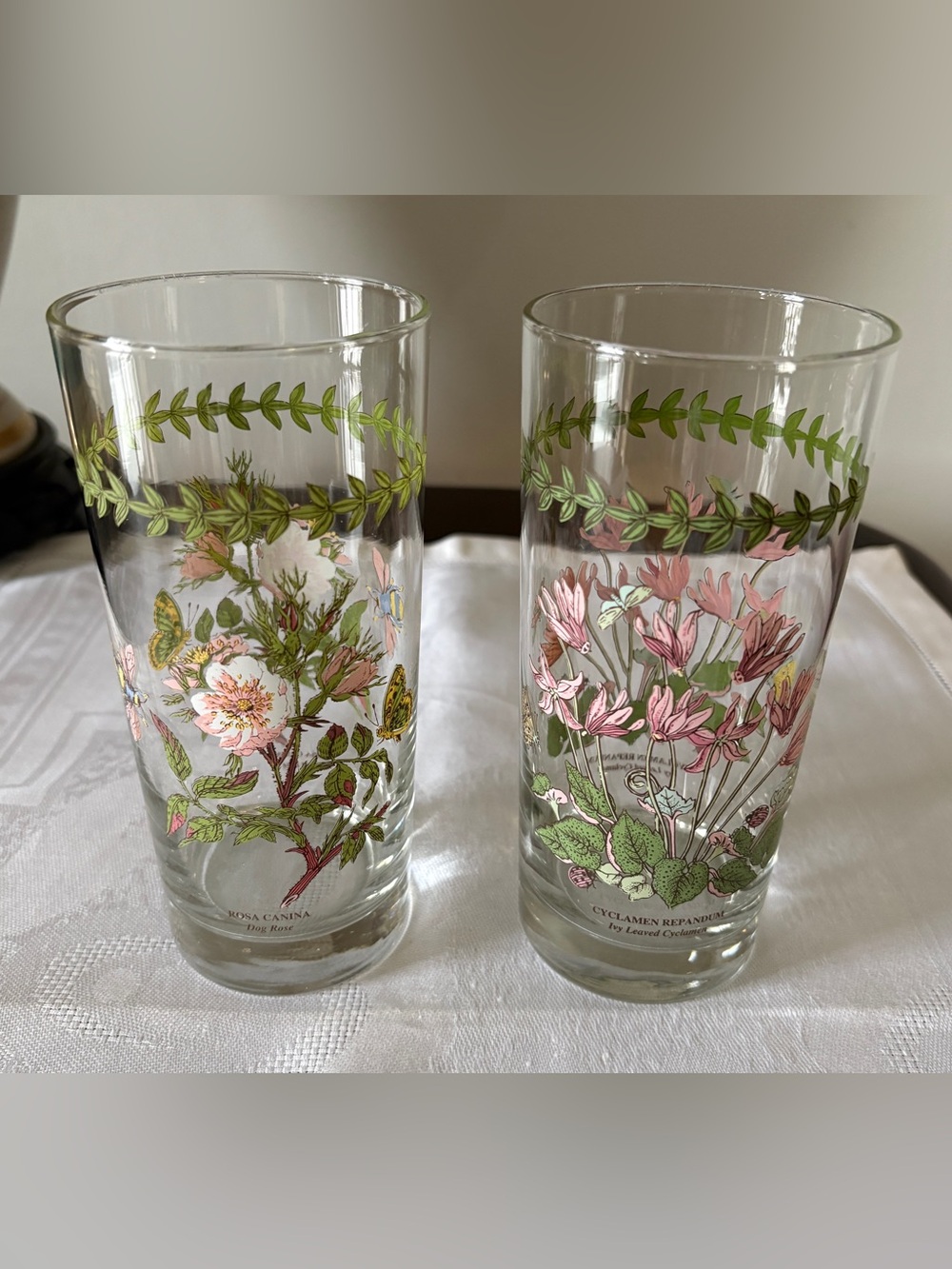 Set of 2 Portmeirion Botanic Garden Highball 7” Drink Glasses Rosa Cyclamen